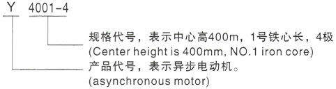 西安泰富西玛Y系列(H355-1000)高压ZZJ-816三相异步电机型号说明